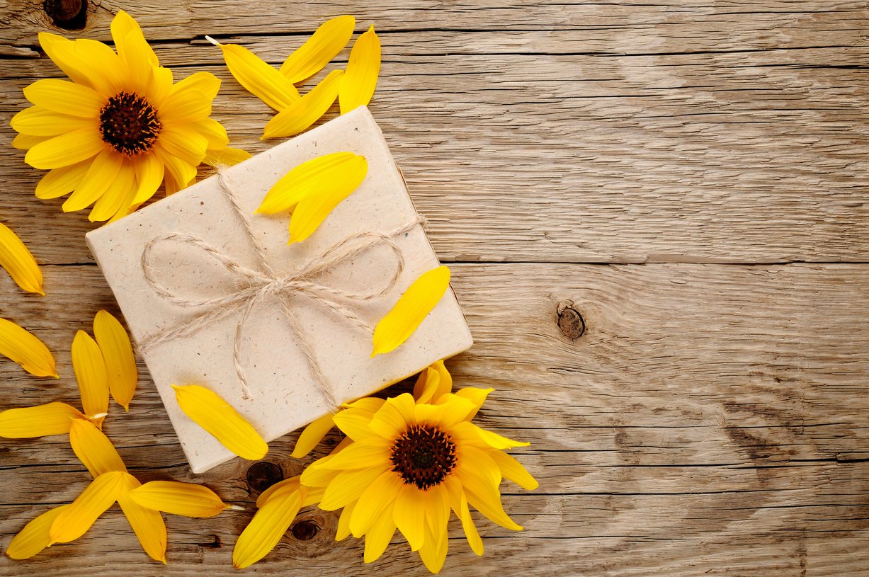 Ornamental sunflowers and gift box